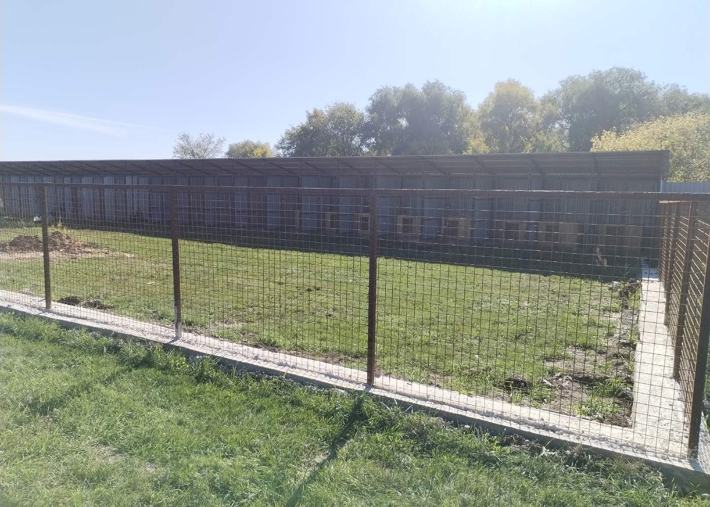 Сетчатое ограждение по периметру территории вдоль поля